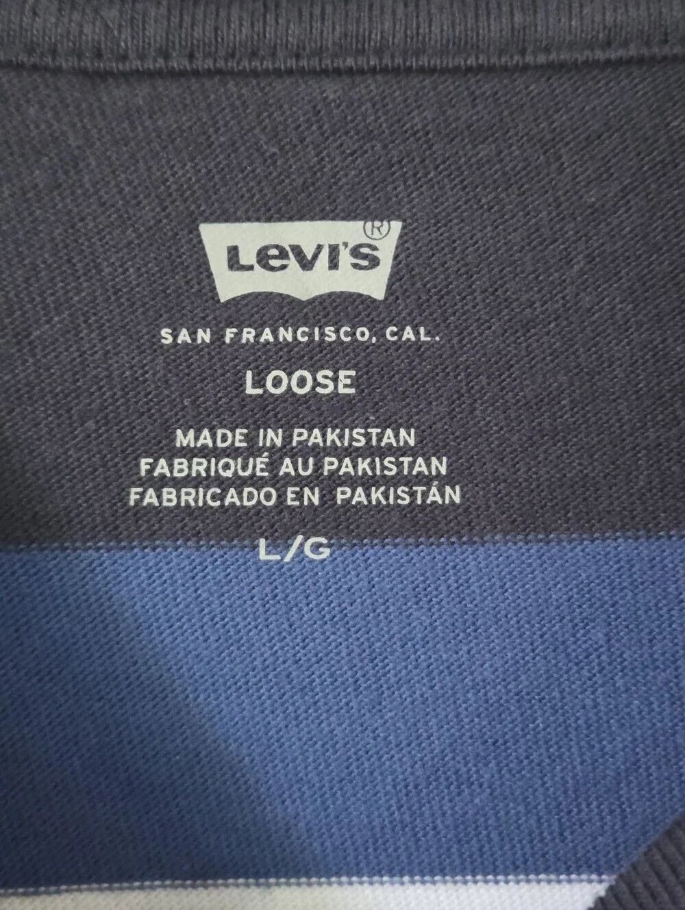 Levi's Men's Navy, Blue & White Striped Loose⁷ Pocket Tee